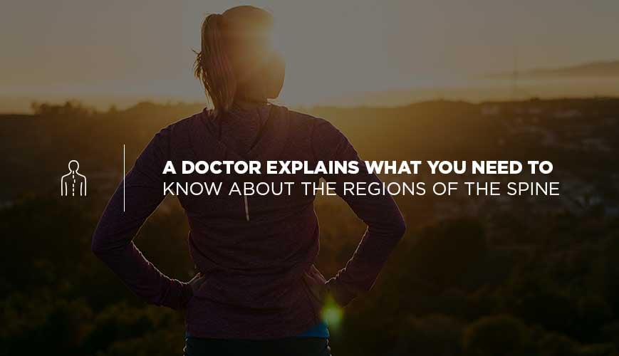 Regions of the Spine