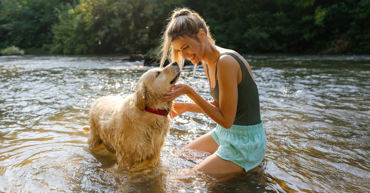 Protecting Pets From Fireworks and Emergencies