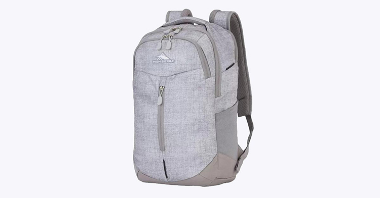 High Sierra Swerve Pro Laptop Backpack